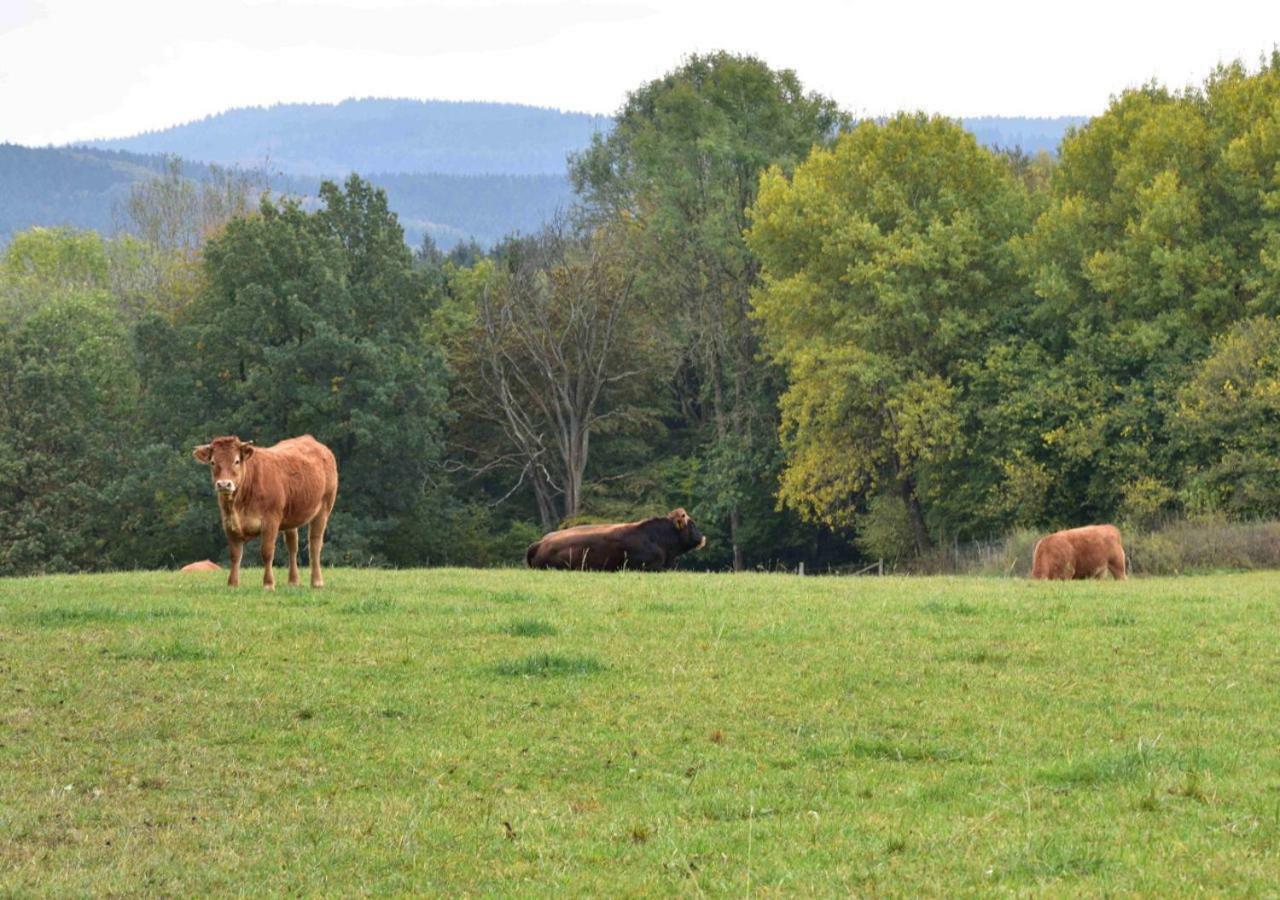 Ferienhaus Vulkaneifel Kopp Eksteriør billede